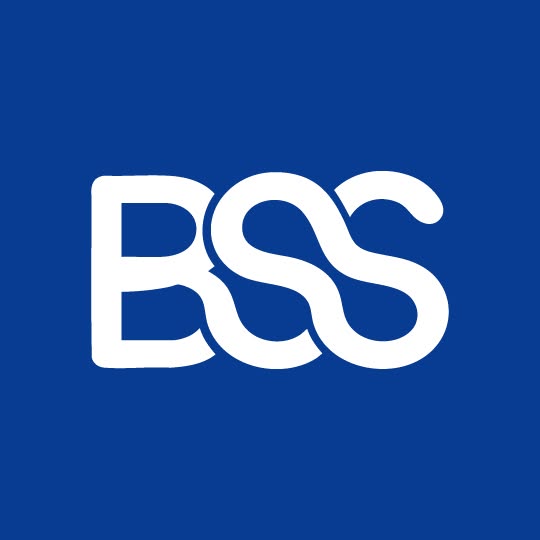 Bangladesh Software Solution logo